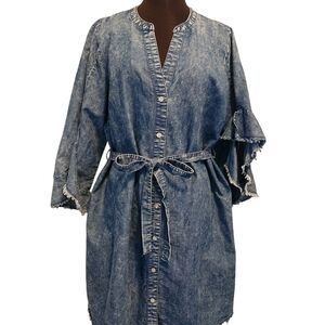 Denim Design Button-Down Dress